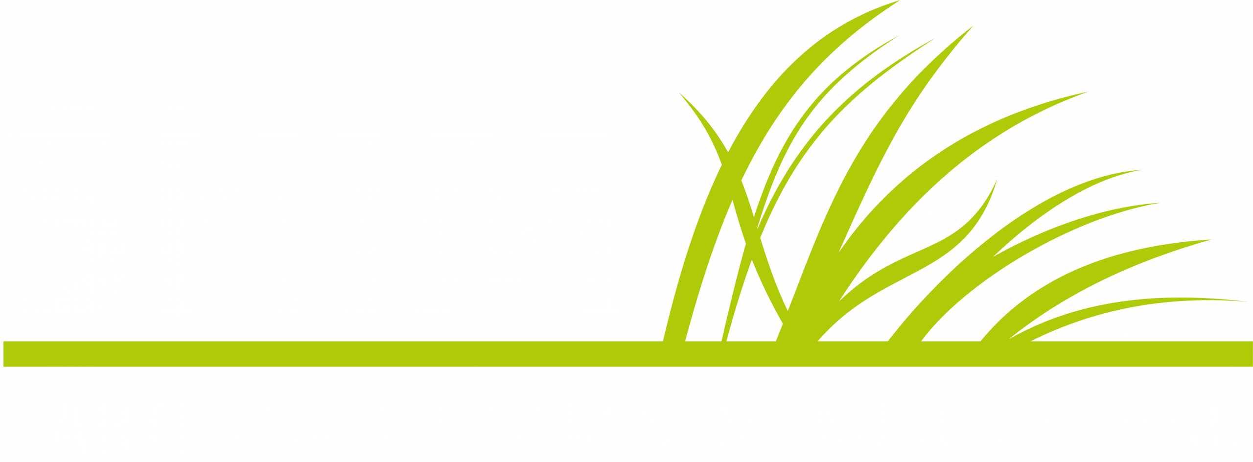 Shim Gartenbau, Straßenbaue, Tiefbau